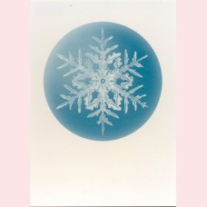 Stellar snowflake no.332